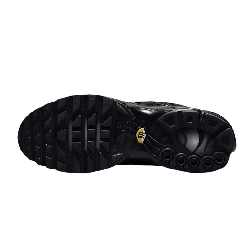 Nike Air Max Plus Black